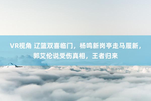 VR视角 辽篮双喜临门，杨鸣新岗亭走马履新，郭艾伦说受伤真相，王者归来