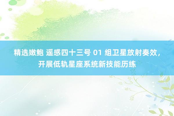 精选嫩鲍 遥感四十三号 01 组卫星放射奏效,开展低轨星座系统新技能历练