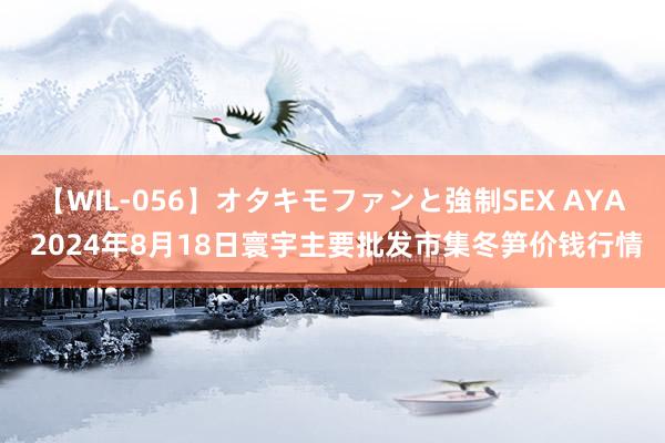 【WIL-056】オタキモファンと強制SEX AYA 2024年8月18日寰宇主要批发市集冬笋价钱行情