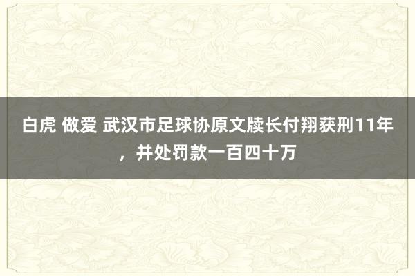 白虎 做爱 武汉市足球协原文牍长付翔获刑11年,并处罚款一百四十万