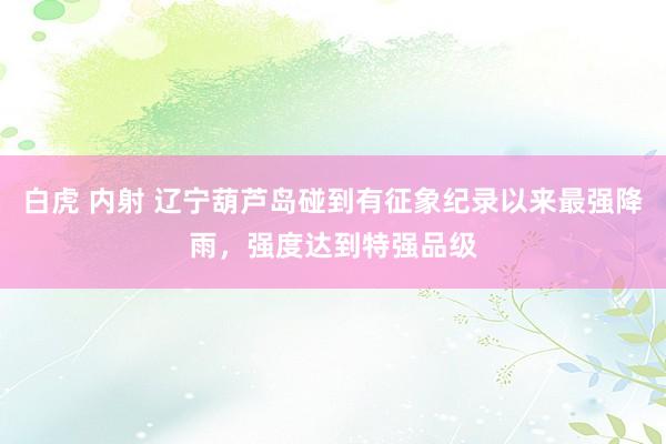 白虎 内射 辽宁葫芦岛碰到有征象纪录以来最强降雨,强度达到特强品级