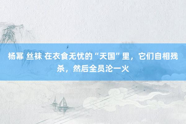 杨幂 丝袜 在衣食无忧的“天国”里，它们自相残杀，然后全员沦一火