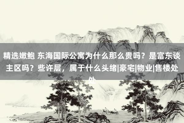 精选嫩鲍 东海国际公寓为什么那么贵吗？是富东谈主区吗？些许层，属于什么头绪|豪宅|物业|售楼处