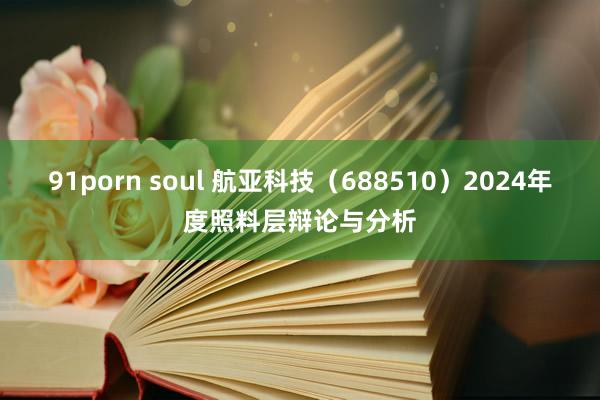 91porn soul 航亚科技（688510）2024年度照料层辩论与分析