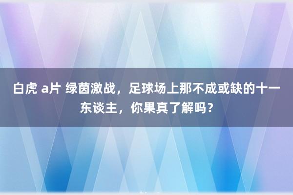 白虎 a片 绿茵激战，足球场上那不成或缺的十一东谈主，你果真了解吗？