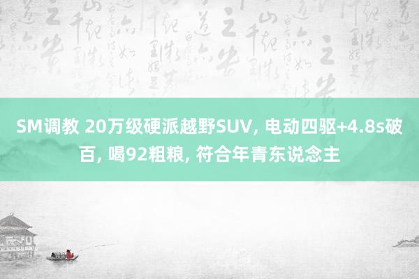SM调教 20万级硬派越野SUV， 电动四驱+4.8s破百， 喝92粗粮， 符合年青东说念主
