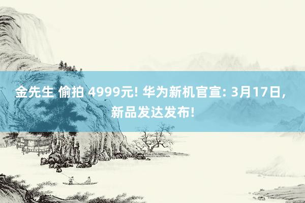 金先生 偷拍 4999元! 华为新机官宣: 3月17日， 新品发达发布!