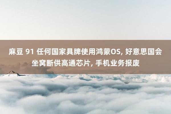 麻豆 91 任何国家具牌使用鸿蒙OS， 好意思国会坐窝断供高通芯片， 手机业务报废