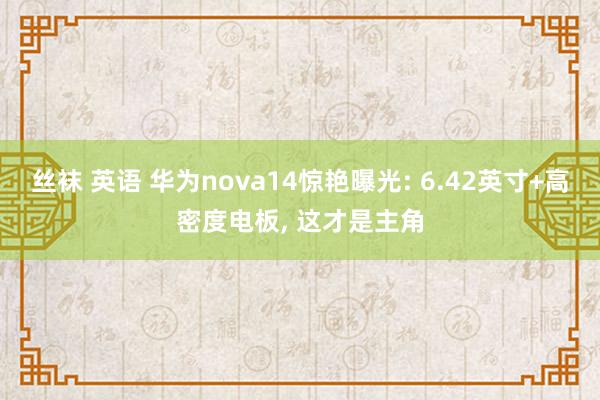 丝袜 英语 华为nova14惊艳曝光: 6.42英寸+高密度电板， 这才是主角