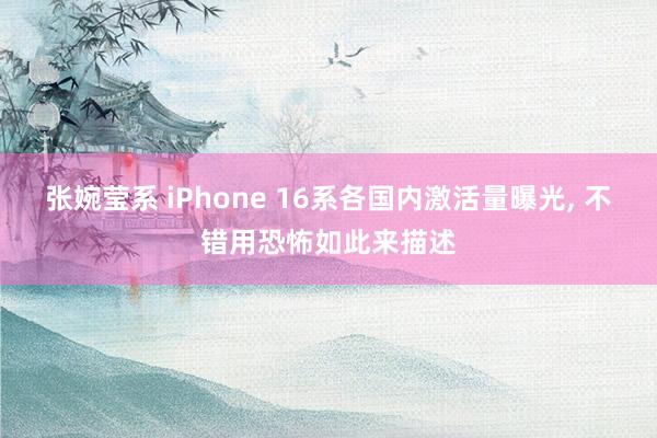 张婉莹系 iPhone 16系各国内激活量曝光， 不错用恐怖如此来描述