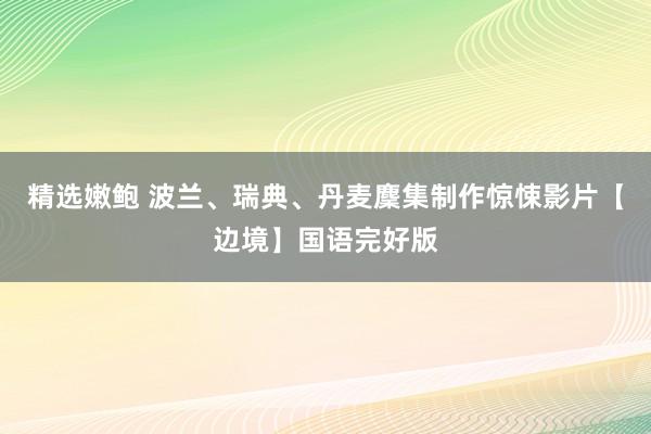 精选嫩鲍 波兰、瑞典、丹麦麇集制作惊悚影片【边境】国语完好版